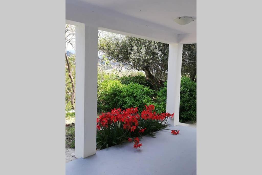 Ribaric Vila Banjol Exterior foto